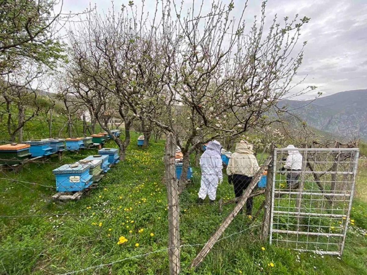 Cottage Modrich ستروغا المظهر الخارجي الصورة
