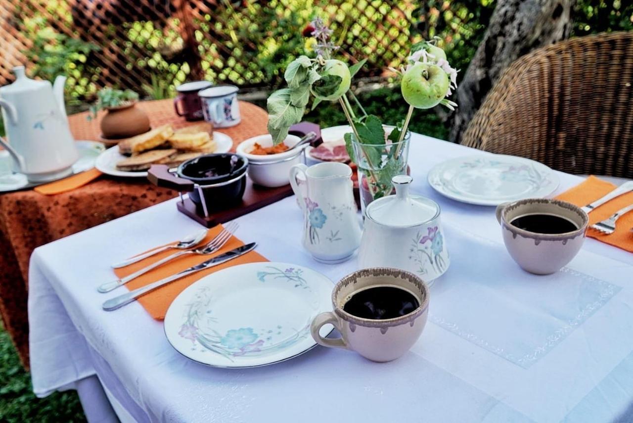Cottage Modrich ستروغا المظهر الخارجي الصورة