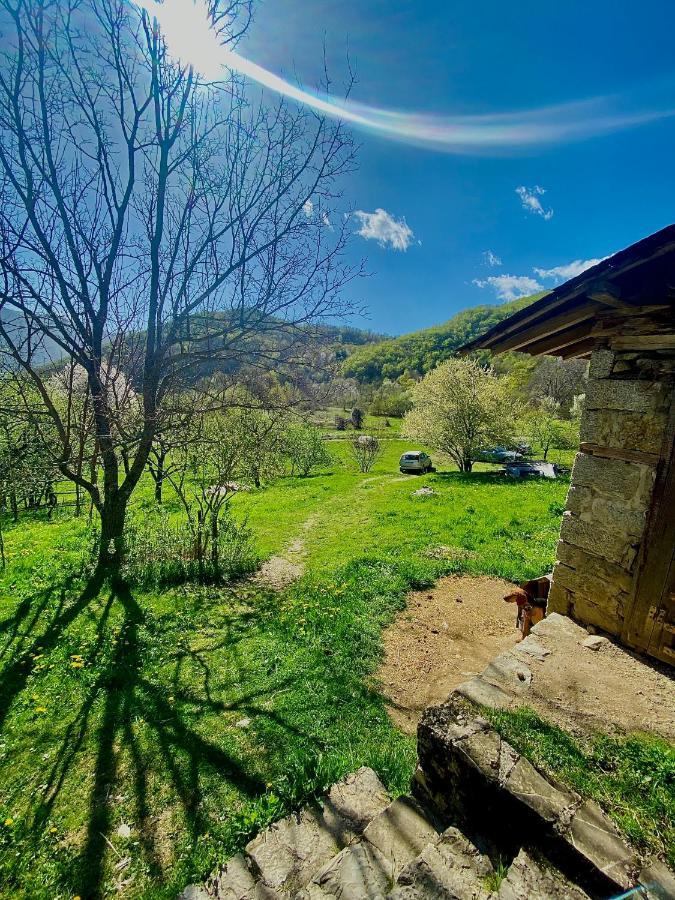 Cottage Modrich ستروغا المظهر الخارجي الصورة