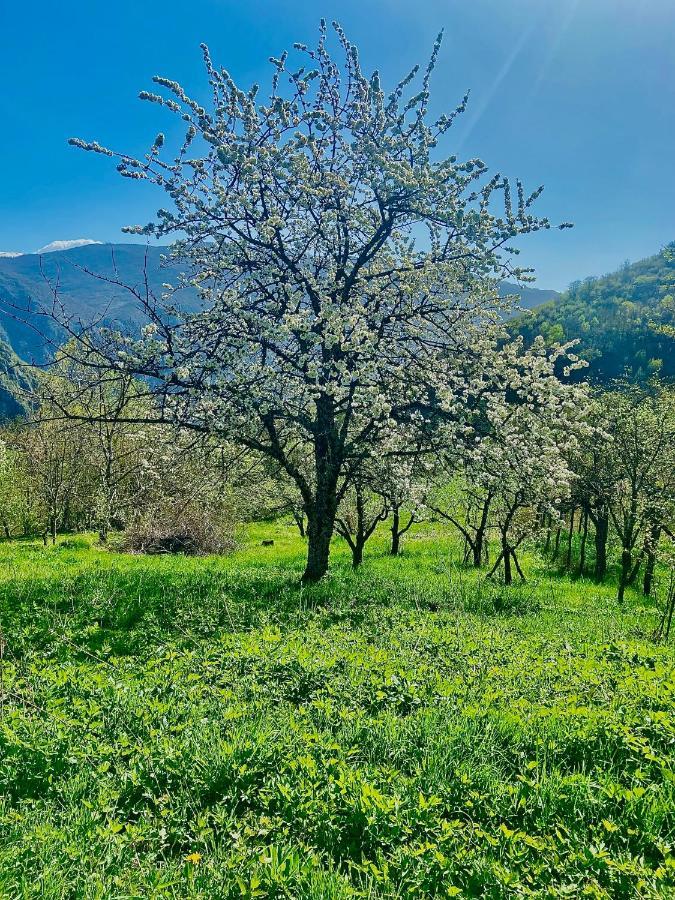 Cottage Modrich ستروغا المظهر الخارجي الصورة
