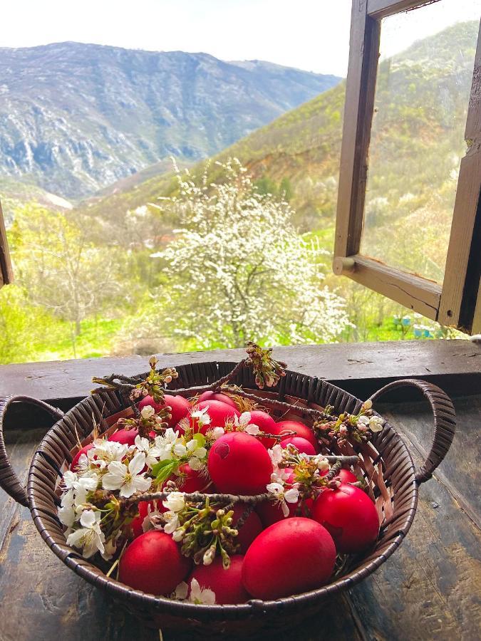 Cottage Modrich ستروغا المظهر الخارجي الصورة