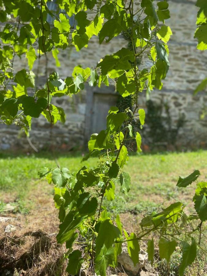 Cottage Modrich ستروغا المظهر الخارجي الصورة