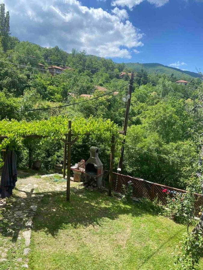 Cottage Modrich ستروغا المظهر الخارجي الصورة